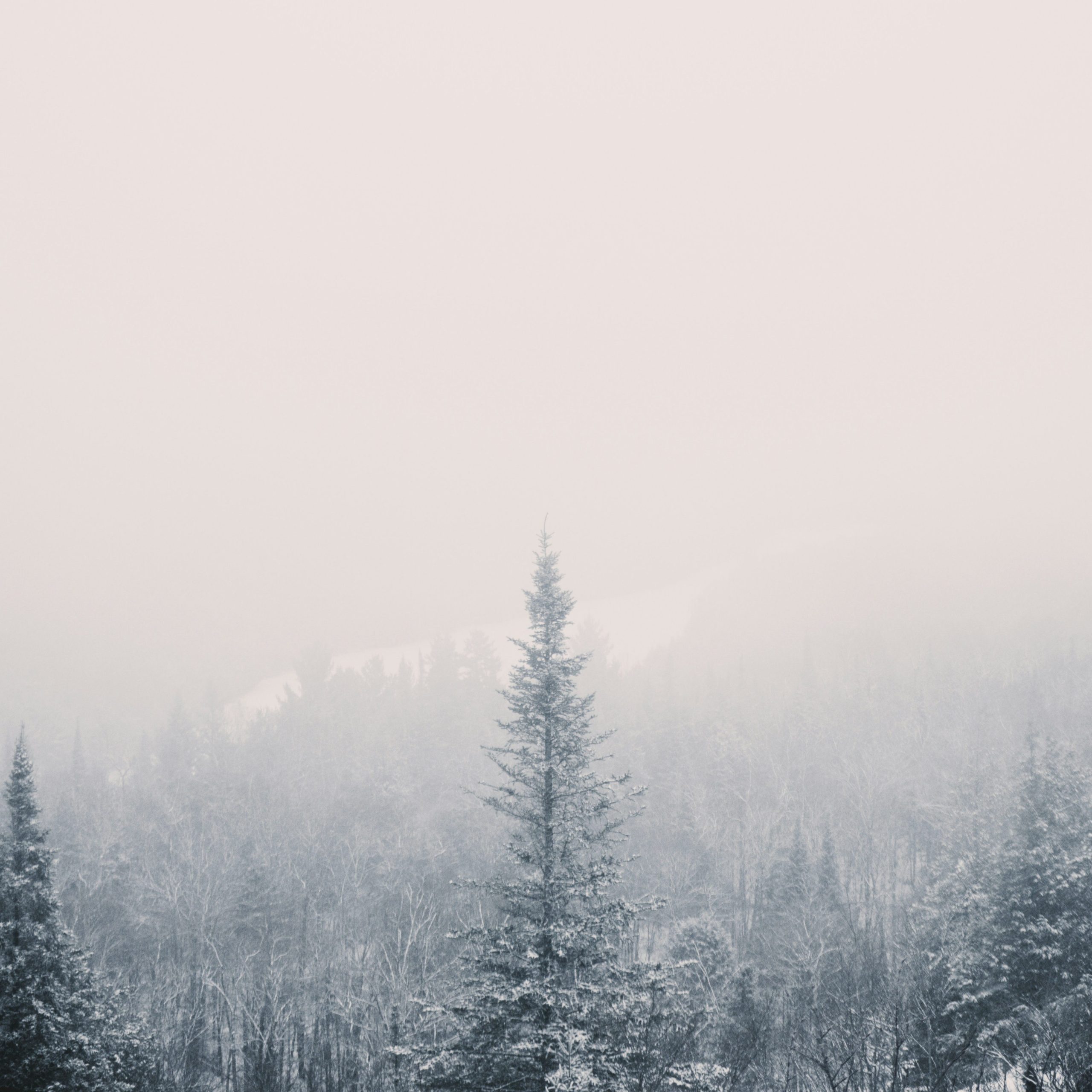 mathieu-deslauriers-K7qaov6ihEQ-unsplash